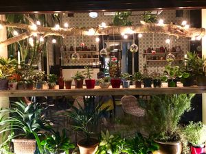 window at Botanica in Magdeburg