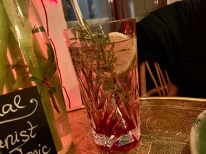 lomonade at Botanica in Magdeburg