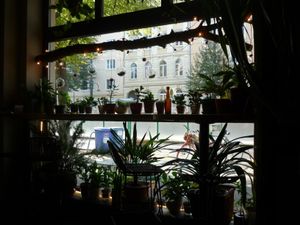 Planty interior at Botanica in Magdeburg