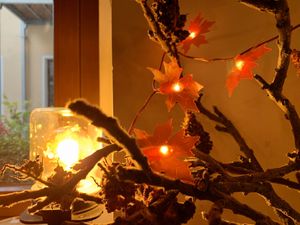 inside at Botanica in Magdeburg