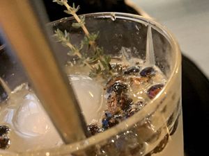 elderberry mocktail at Botanica in Magdeburg