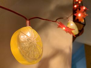 decoration at Botanica in Magdeburg