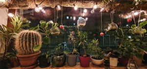 Blick aus dem Fenster. at Botanica in Magdeburg