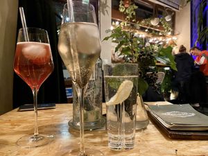 drinks at Botanica in Magdeburg