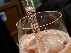 aperitif magic ✨ at Botanica in Magdeburg