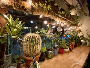 botanica 🍀 at Botanica in Magdeburg