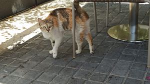  at Baker and Spice in Kuwait City