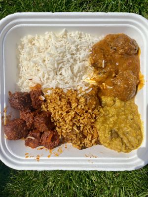 vegan meatballs, mock chicken nuggets and dhal, with two kinds of rice  at Veda in Bratislava