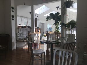 Great ambiance  at Juicygreens in Jamaica Plain