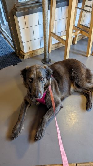  at The Meat Counter in Falmouth