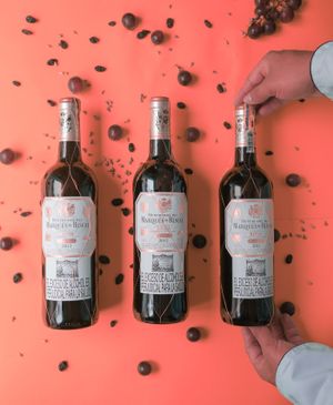 Selection of wines at Makao in Salento