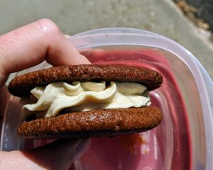 8/10 - Ginger sammy - so much ginger at Food in the Nūd in Edmonton