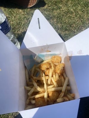 Single Patty Burger is Satisfying- Couldn’t Finish Fries and Tots   at Monty's Good Burger - Koreatown in Los Angeles