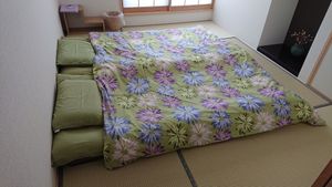 . at Vegan Minshuku Sanbiki Neko in Kyoto