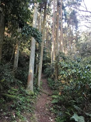 Nearby hiking trail at Vegan Minshuku Sanbiki Neko in Kyoto