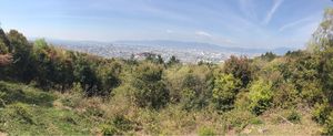 View from the top of the hill above Fushimi-Inari  at Vegan Minshuku Sanbiki Neko in Kyoto