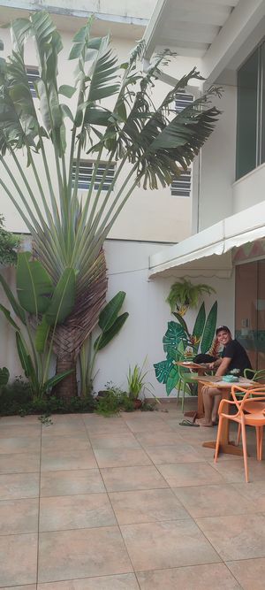  at Tarang in Peruibe