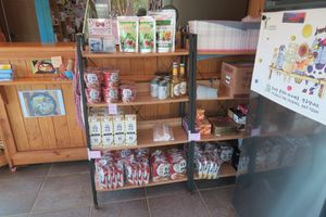   at Loving Hut in Seogwipo