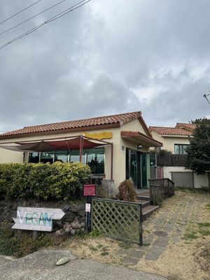   at Loving Hut in Seogwipo