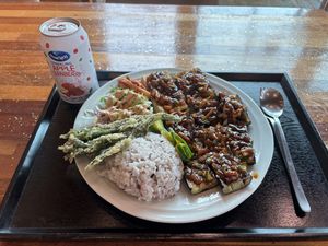Rice with eggplant and tofu   at Loving Hut in Seogwipo