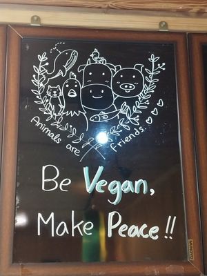  at Loving Hut in Seogwipo