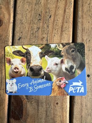   at allplants in North London