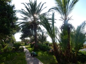 Walk around. at Casa Lora in Forio Dischia