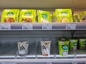 Vegan cheeze, yoghurt, .. at My Bio Shop in Ruoms