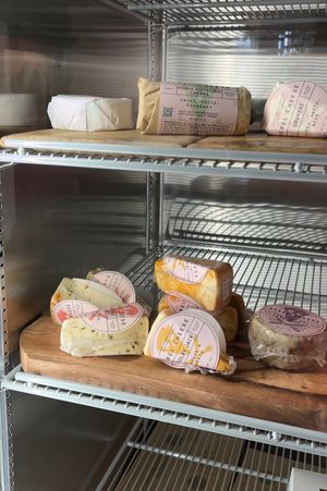   at ChattaVegan in Chattanooga