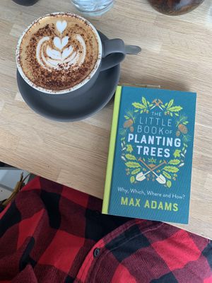 Cappuccino  at Short + Stout in Chester