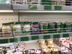 Yogurts at BioJu in Tirana