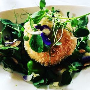 Spring Pea Arancini at Sage & Honey in Burton Upon Trent