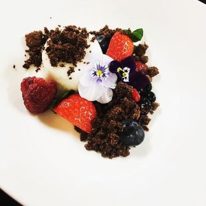 Coconut pannacotta, chocolate crumb at Sage & Honey in Burton Upon Trent