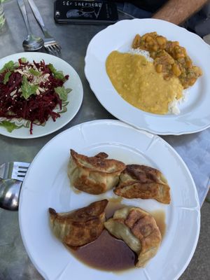 The dumplings are soo good  at The Good Heart - Tibetan Memories in Frome