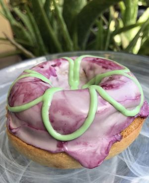 Blueberry Donut at Antoniette Vegan Cafe in West Palm Beach