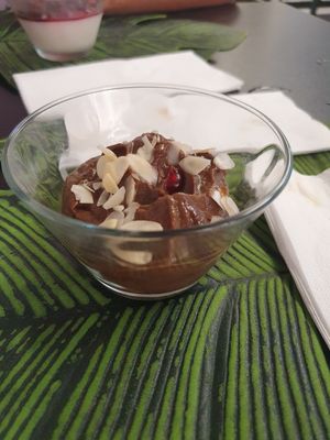 . at Alvocat in Tarragona