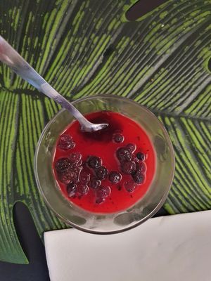 . at Alvocat in Tarragona