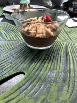   at Alvocat in Tarragona