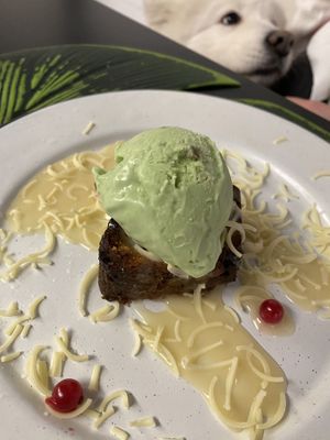   at Alvocat in Tarragona