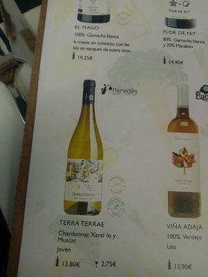 Vegan labeled wine / vino certificado vegano at Alvocat in Tarragona
