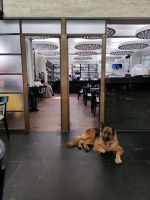 Chien bien accueilli at CultuurCafé de Grote Post in Oostende