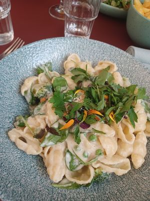 Vegan pasta with cream at CultuurCafé de Grote Post in Oostende
