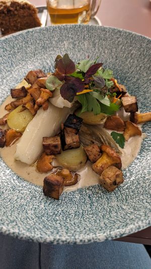 Tofu, chanterelles, chicory at CultuurCafé de Grote Post in Oostende
