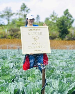  at Roots Plant-Based Cafe in Da Nang