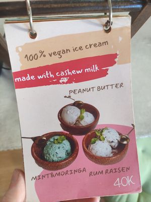 Ice cream offer at Roots Plant-Based Cafe in Da Nang