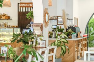 many green inside area at Roots Plant-Based Cafe in Da Nang