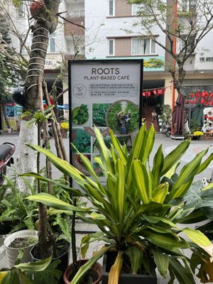  at Roots Plant-Based Cafe in Da Nang