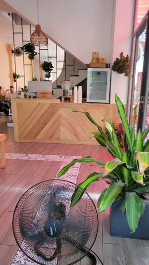  at Roots Plant-Based Cafe in Da Nang