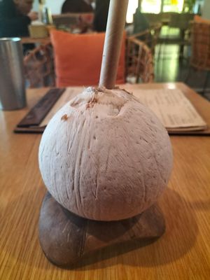 coconut water at Roots Plant-Based Cafe in Da Nang