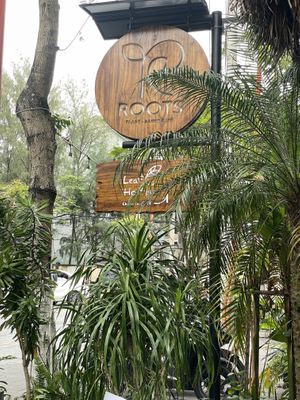   at Roots Plant-Based Cafe in Da Nang